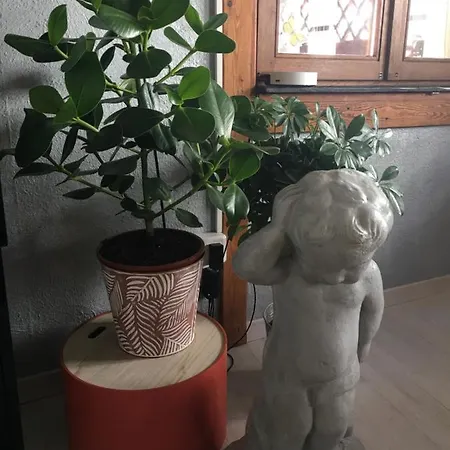 아파트 Au Relais De L'histoire Classe 4 Etoiles Oberbronn